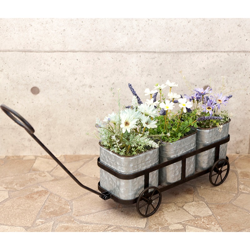 Liberte' ��٥�ơ�[�֥ꥭ�ץ�󥿡�������]