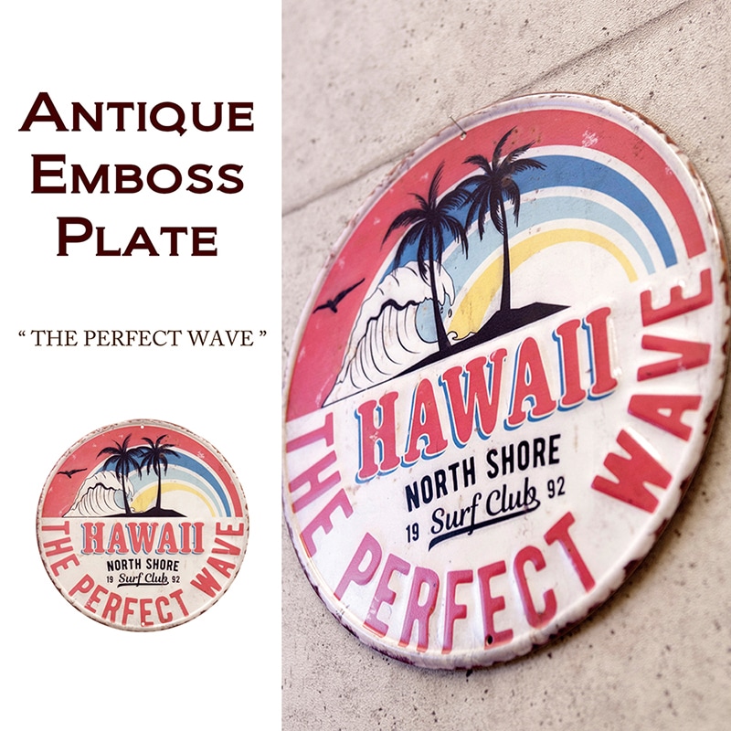 ����ƥ���������ܥ��ץ졼�� ��THE PERFECT WAVE/ANOTHER DAY IN PARADISE��