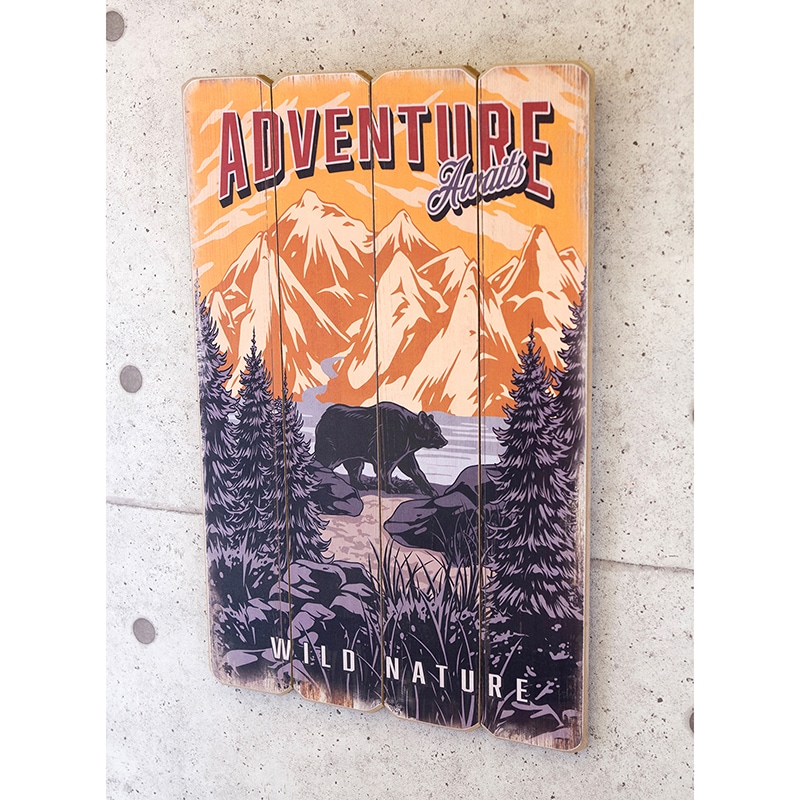 ���åɥܡ��� ��ADVENTURE��