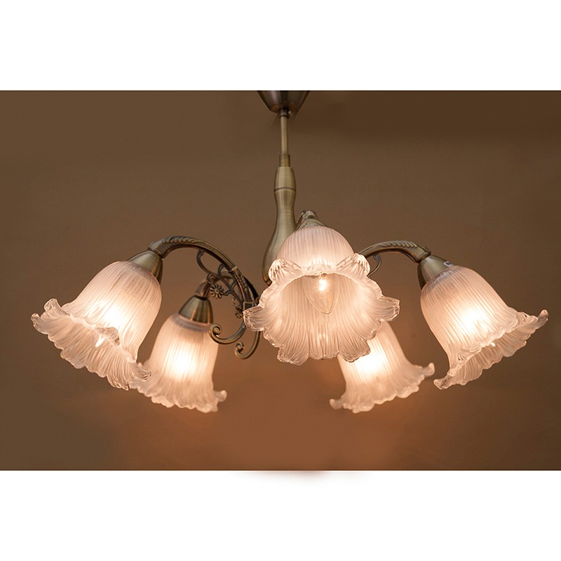 ���饷���륷����󥰥���[����������]��5����LED�ŵ��б�