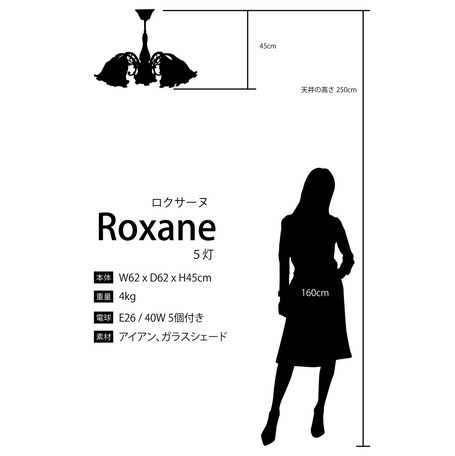 ���饷���륷����󥰥���[����������]��5����LED�ŵ��б�