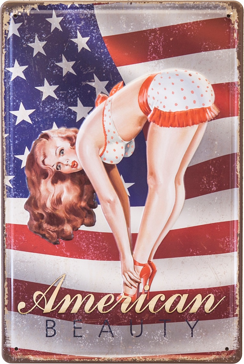 ����ƥ������᥿�륨��ܥ��ץ졼�� [American BEAUTY 2]