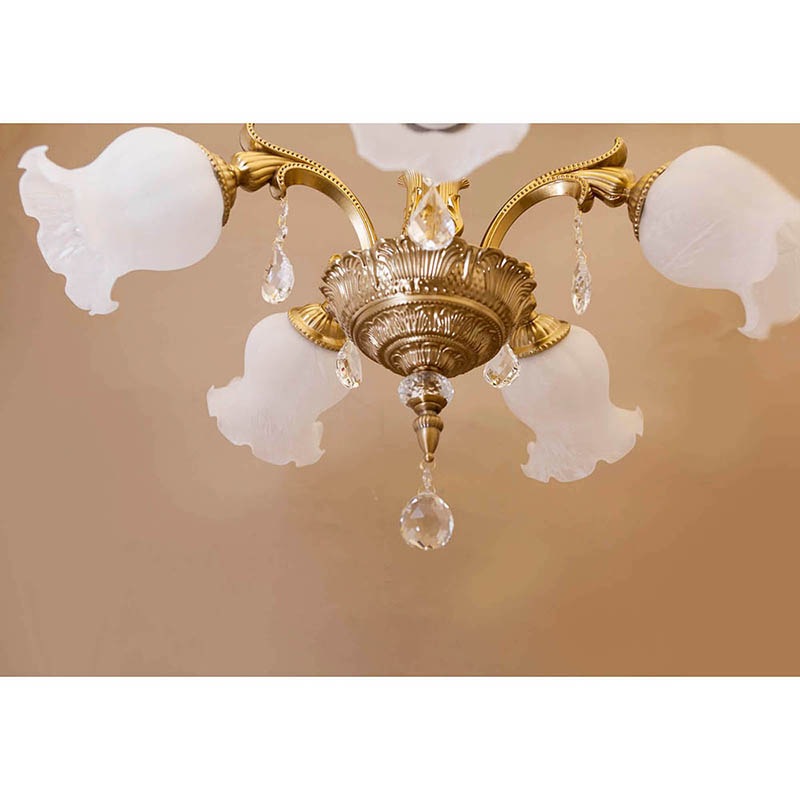 ���饷���륷���ǥꥢ�Υ��졼��II��5���ˡϡ�E26/���뷿��