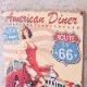 ���åɥܡ��ɡ�American Diner 66��