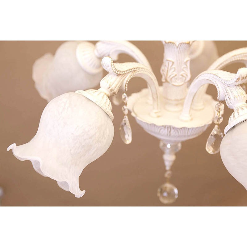 ���饷���륷���ǥꥢ�Υ��졼��II��5���ˡϡ�E26/���뷿��