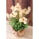 SALE Artificial flower ƥեեΥݥå Orange 264<¤>