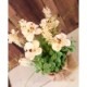 SALE Artificial flower ƥեեΥݥå Orange 264<¤>