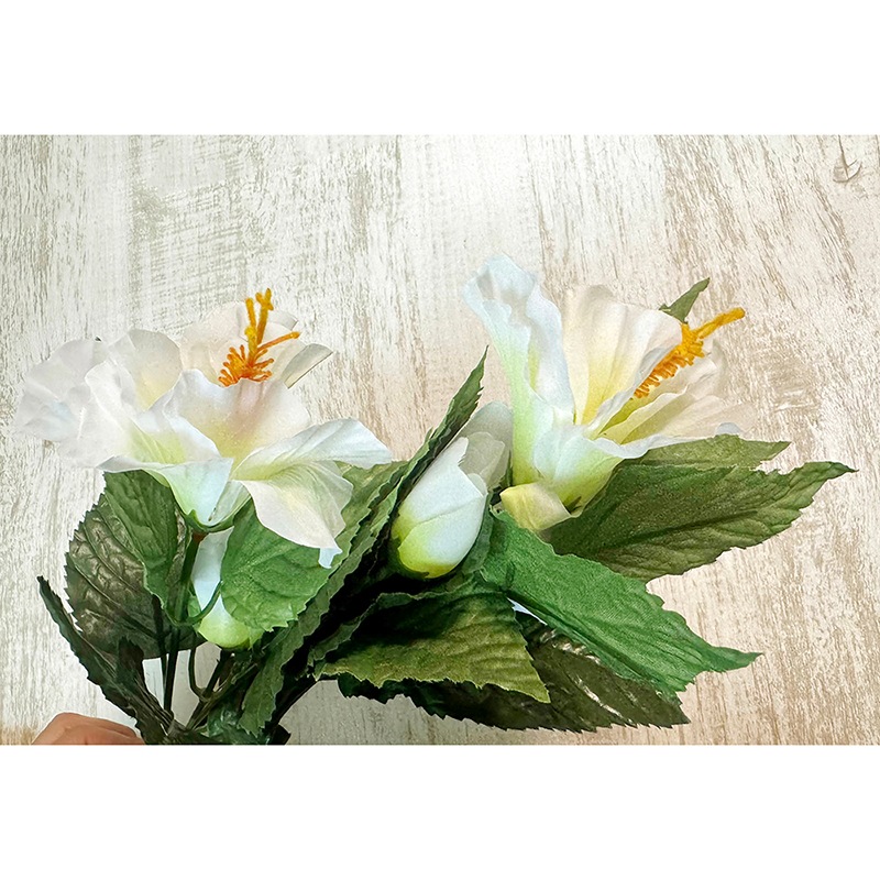��SALE��¤�֡Υϥ��ӥ�����BUSH��