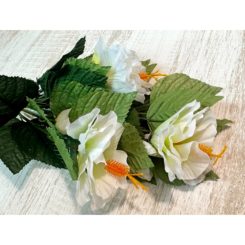 ��SALE��¤�֡Υϥ��ӥ�����BUSH��