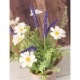 SALE Artificial flower ƥեեΥݥå White 286<¤>