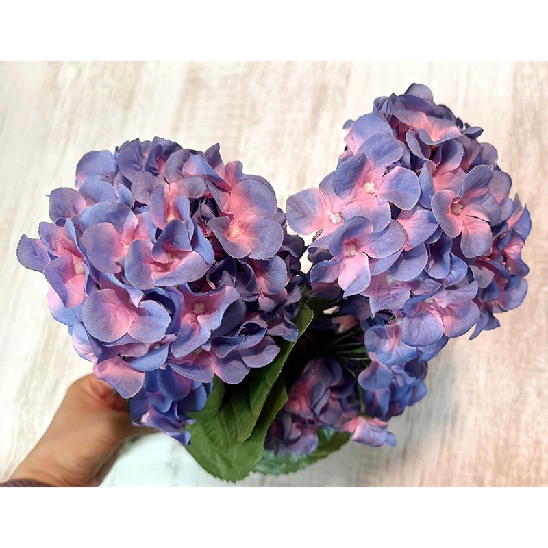 ��SALE��¤�֡Υ��������ץ��� / ���۲֡�