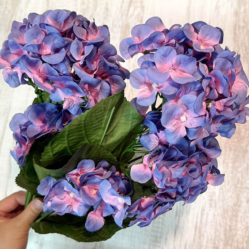 ��SALE��¤�֡Υ��������ץ��� / ���۲֡�
