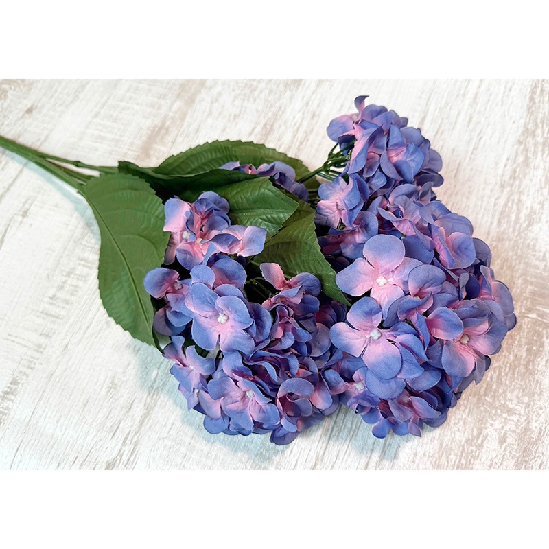 ��SALE��¤�֡Υ��������ץ��� / ���۲֡�