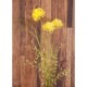 SALE Artificial flower ƥեեYellow 015ϡ¤֡