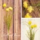 SALE Artificial flower ƥեեYellow 015ϡ¤֡