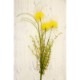 SALE Artificial flower ƥեեYellow 015ϡ¤֡