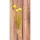 SALE Artificial flower ƥեեYellow 015ϡ¤֡