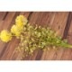 SALE Artificial flower ƥեեYellow 015ϡ¤֡