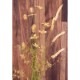 SALE Artificial flower ƥեեBeige 022ϡ¤֡