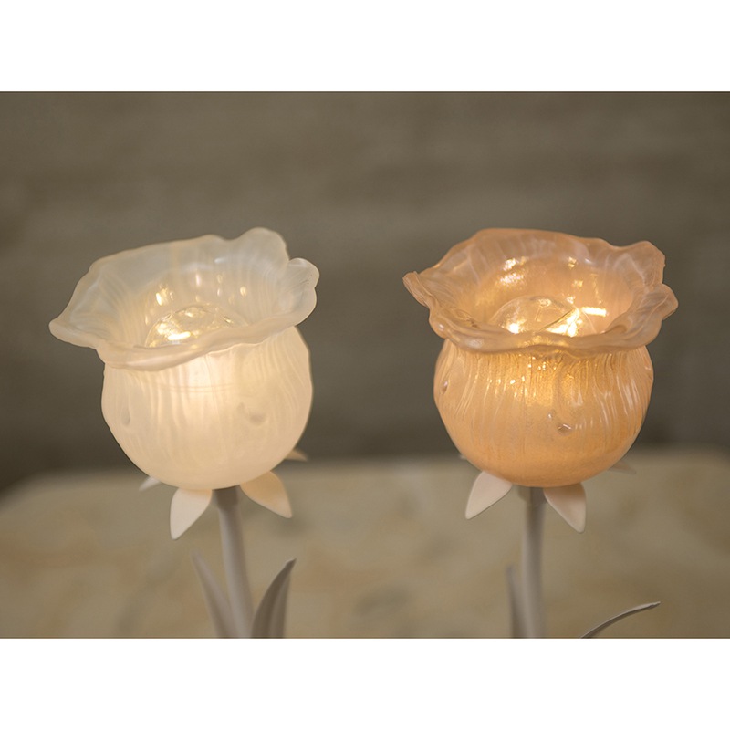 �ե����ס�05��
