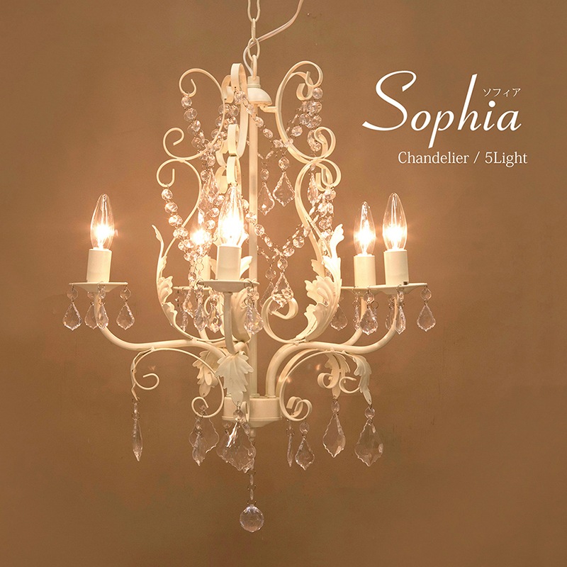 �����ǥꥢ��Sophia ���ե�����5���ˡϡ�E12/���뷿��