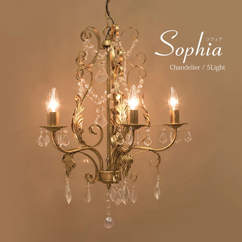 �����ǥꥢ��Sophia ���ե�����5���ˡϡ�E12/���뷿��