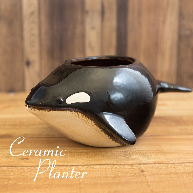 1_000000004446.jpg?1762825989