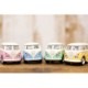 �������㥹�ȥߥ˥���(S)��Little Van (Pastel Color)�ϡڥ��å�12���