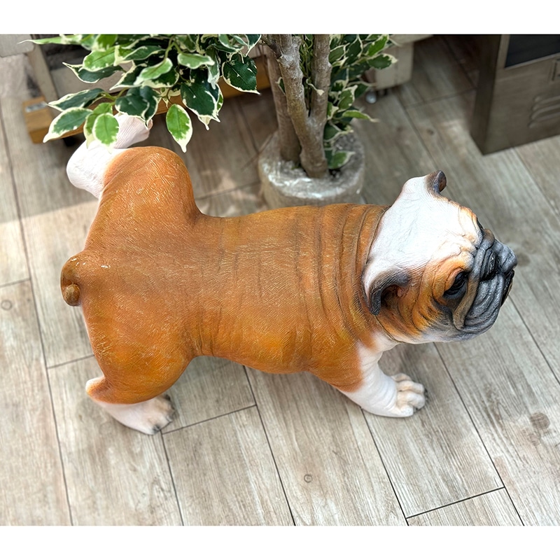 �������������緿�ե����奢�Υ֥�ɥå��ϡ�Ʊ���Բ�/�����緿����/����̵���оݳ���