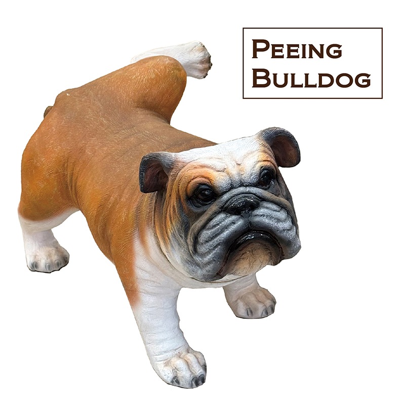 �������������緿�ե����奢�Υ֥�ɥå��ϡ�Ʊ���Բ�/�����緿����/����̵���оݳ���