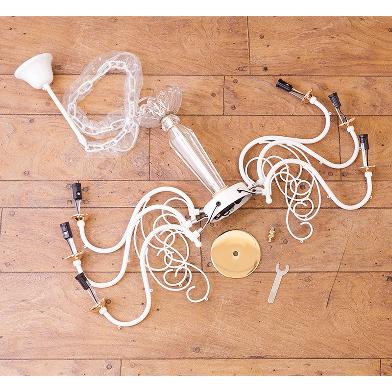 ���ꥹ���륬�饹 �����ǥꥢ��SUCI ��������6���ˡϡ�E12/���뷿��