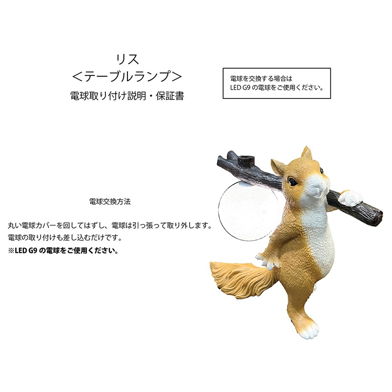 �ơ��֥���סΥꥹ�ϡ�LED��°��