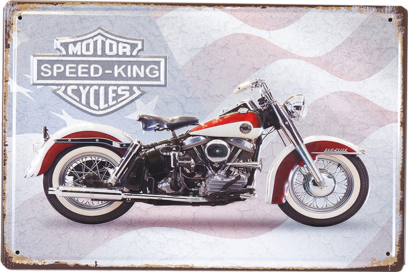 ����ƥ������᥿�륨��ܥ��ץ졼�ȡ�S [SPEED KING FLAG]�㥢��ꥫ�󻨲ߡ�