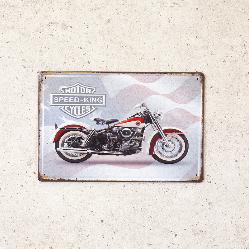 ����ƥ������᥿�륨��ܥ��ץ졼�ȡ�S [SPEED KING FLAG]�㥢��ꥫ�󻨲ߡ�