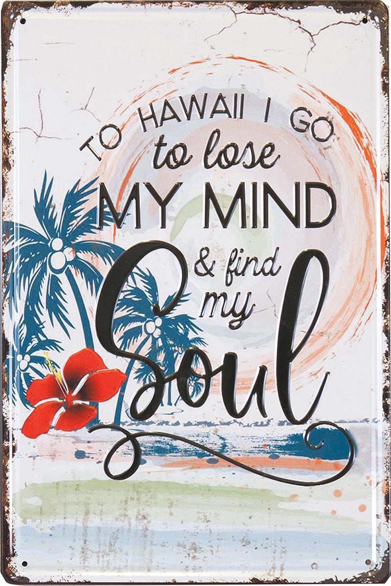 ƥ᥿륨ܥץ졼ȡS [FIND MY SOUL]㥢ꥫ󻨲ߡ