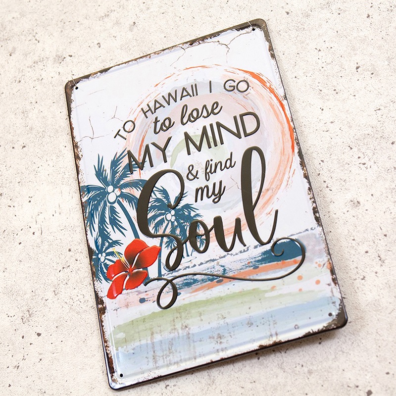 ƥ᥿륨ܥץ졼ȡS [FIND MY SOUL]㥢ꥫ󻨲ߡ