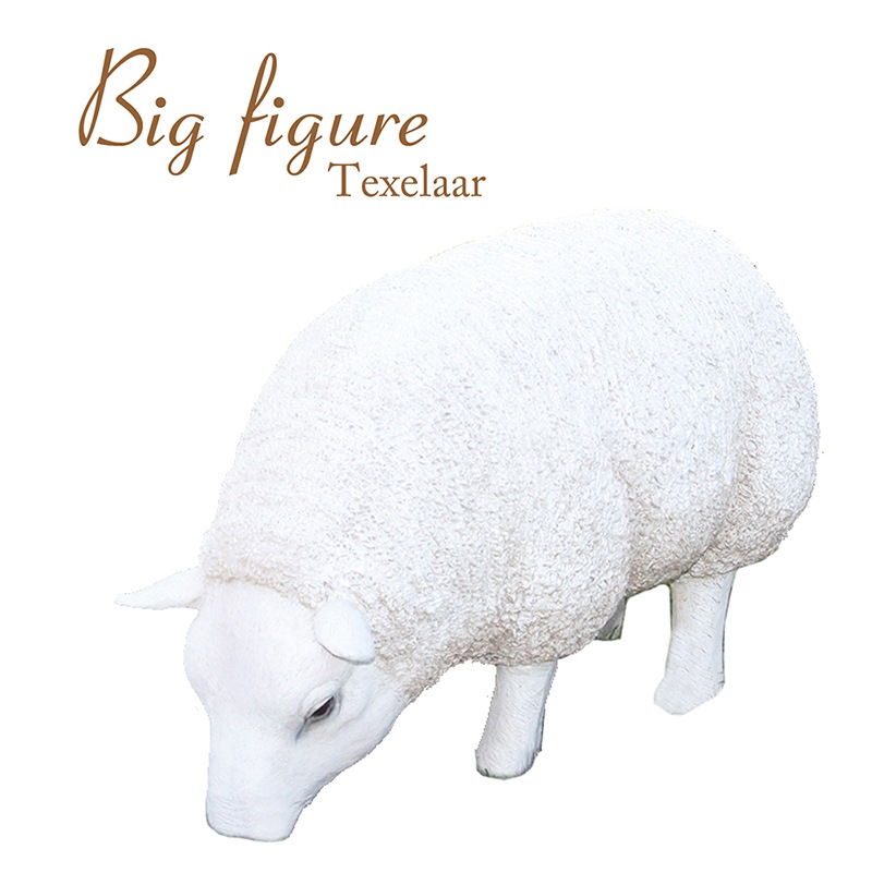 ե奢ΤҤĤϡƱԲ/̵оݳ