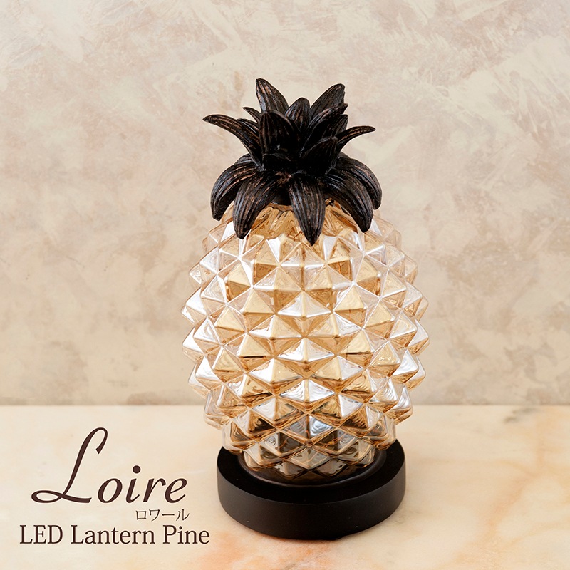 NEW Loire ������LED ��󥿥󡡥ѥ����