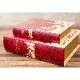 �ڥ�������åȥ֥å��ۥҥ��ȥ꡼�Ρ��٥�(S)��The CATCHER in the RYE��