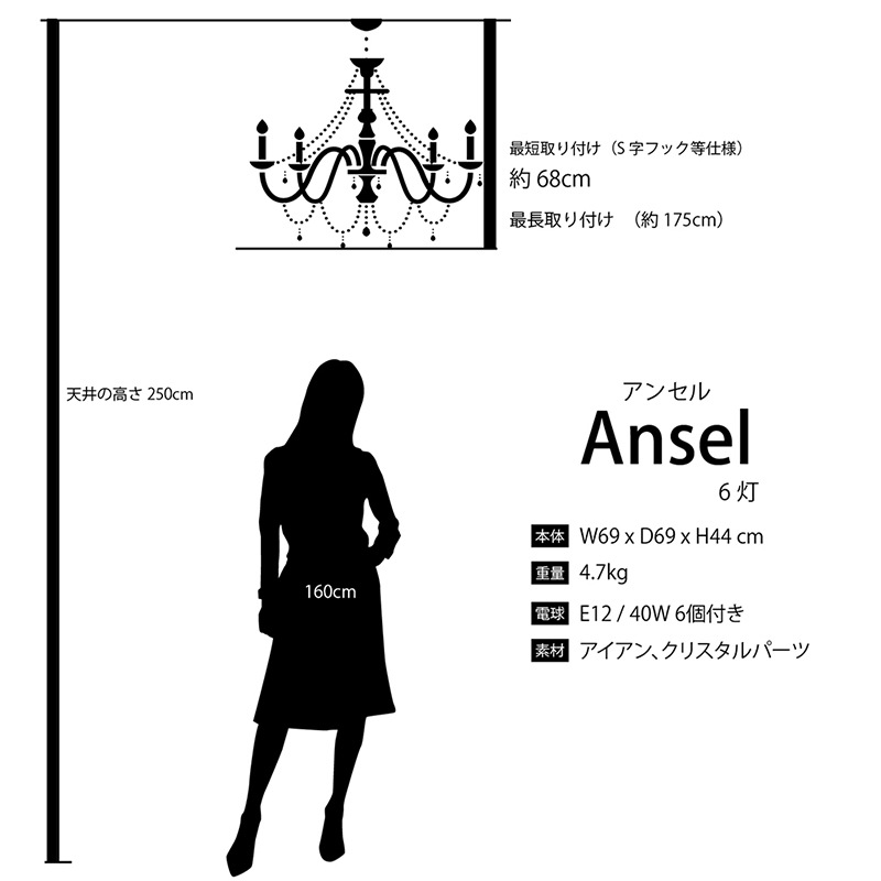 ���߾����ۥ��ꥹ���� �����ǥꥢ��Ansel�����󥻥��6���ˡϡ�E12/���뷿��