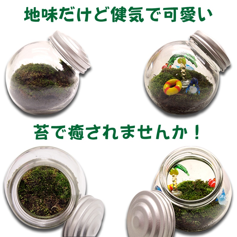 �ݥƥ�ꥦ���� 48̾��ʬ���åȡ�������֡���30ʬ