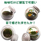 ݥƥꥦ 48̾ʬåȡ֡30ʬ