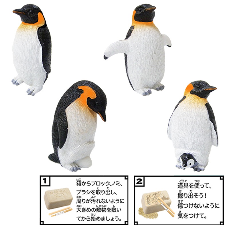 ペンギン ジェンツーペンギン 22 | HANSA