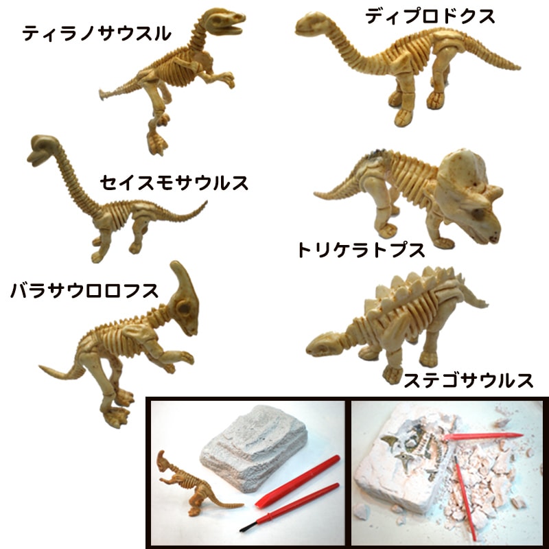 ネット限定・数量限定 発掘シリーズ 恐竜発掘作り 30名様分