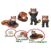 ȯ�����꡼�� ��å����ѥ��ȯ����� 48̾��ʬ���åȡ�������֡���30ʬ