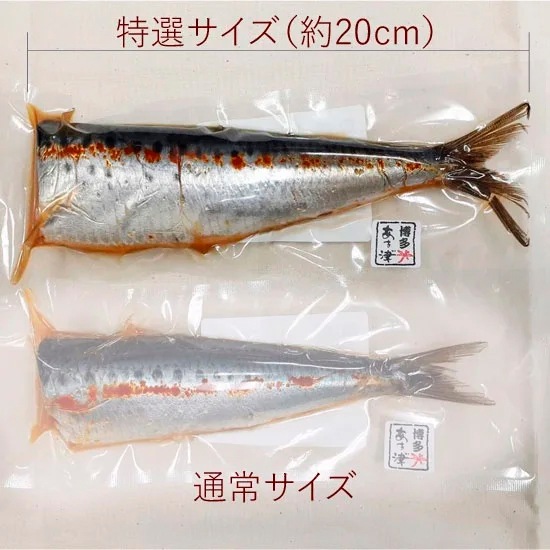 特選！いわしめんたい（大）10尾（贈答用）