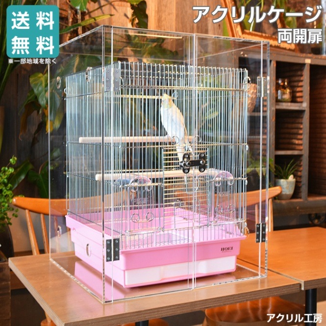 ڥץߥW640H850D590Сɥ[磻ɥ][ࡦĻưʪѥ륱]