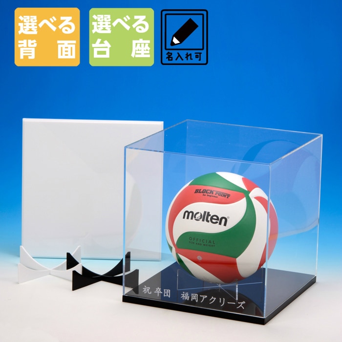 バレーボール ５個セット +ボールケース v5m5000-5-n.jpg?_ex=380x380&s=