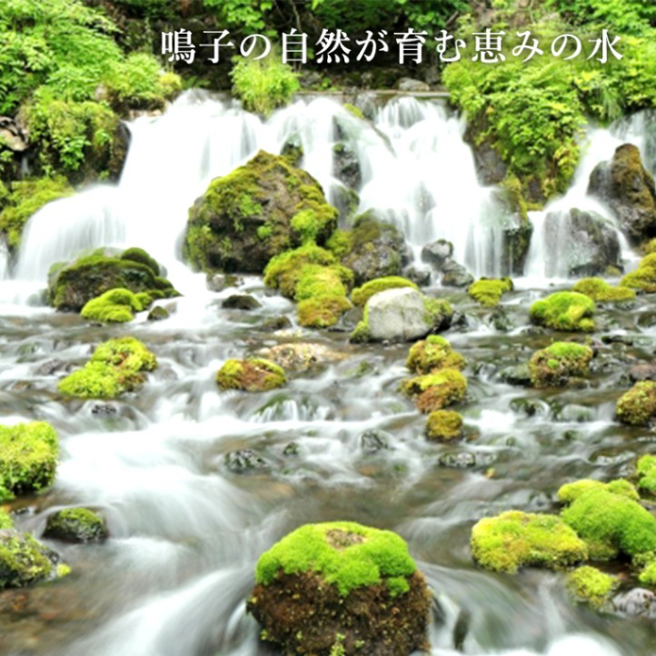 天然アルカリイオン温泉水 「玉鳴号」 24本 | 食,水 | あ・ら・伊達な