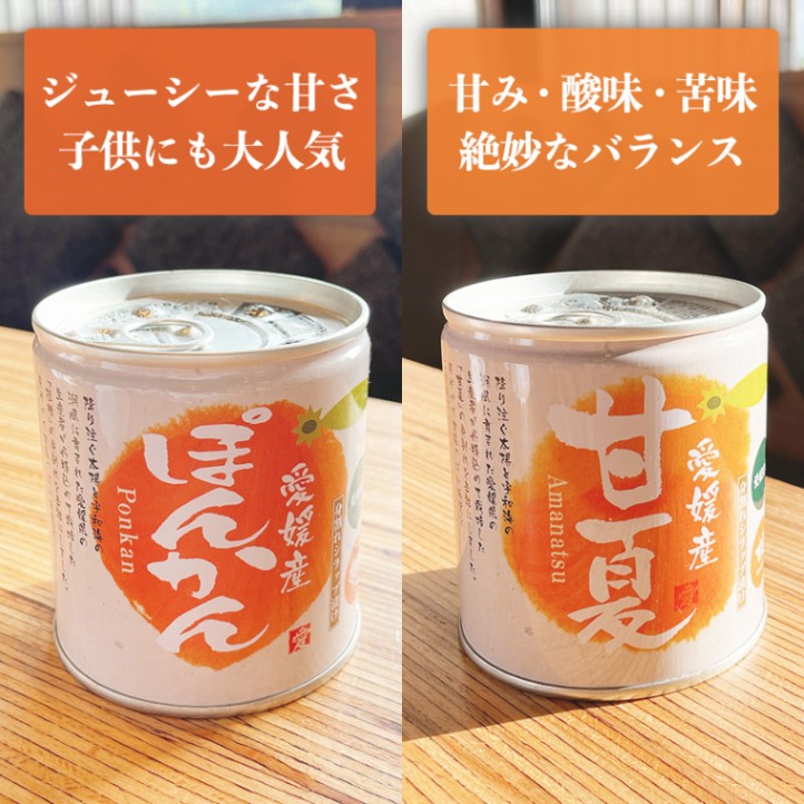 かんかんさん専用 愛媛産 身割れ柑橘缶詰（伊予柑・はっさく・ぽんかん・甘夏） 4種